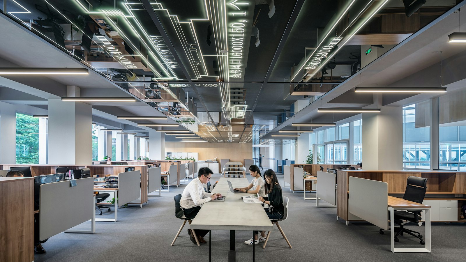 A bright, open-plan office interior